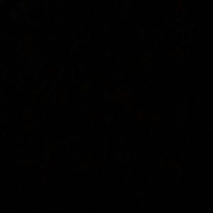 Meet your Posher, Sid